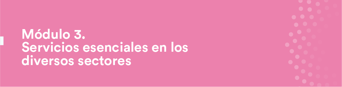 Módulo 3