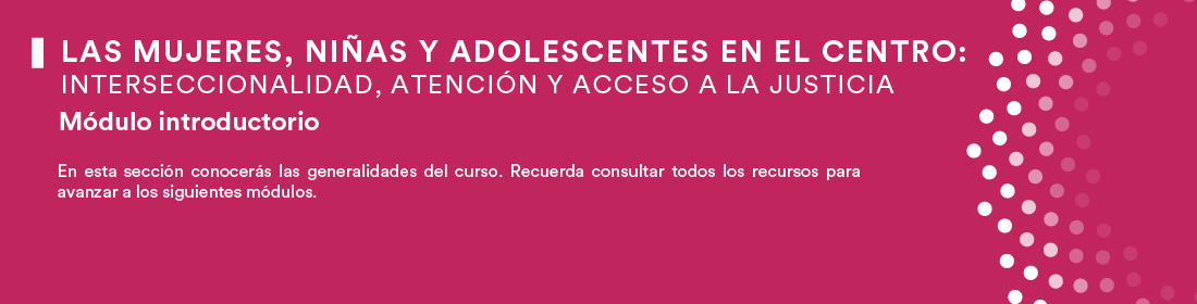 Módulo introductorio
