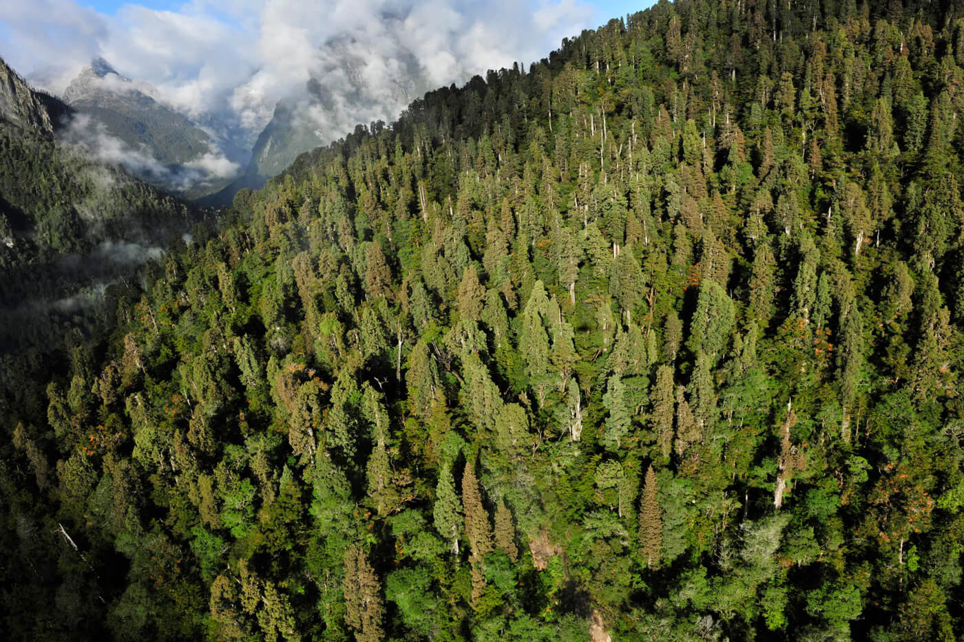 Ordenamiento Territorial, Gestión del Riesgo y Cambio Climático