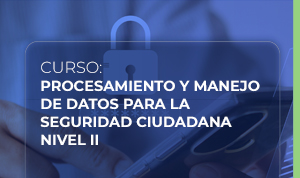 Procesamiento y manejo de datos para la seguridad ciudadana  nivel II