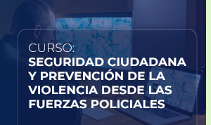Seguridad ciudadana y prevención de la violencia desde las fuerzas policiales
