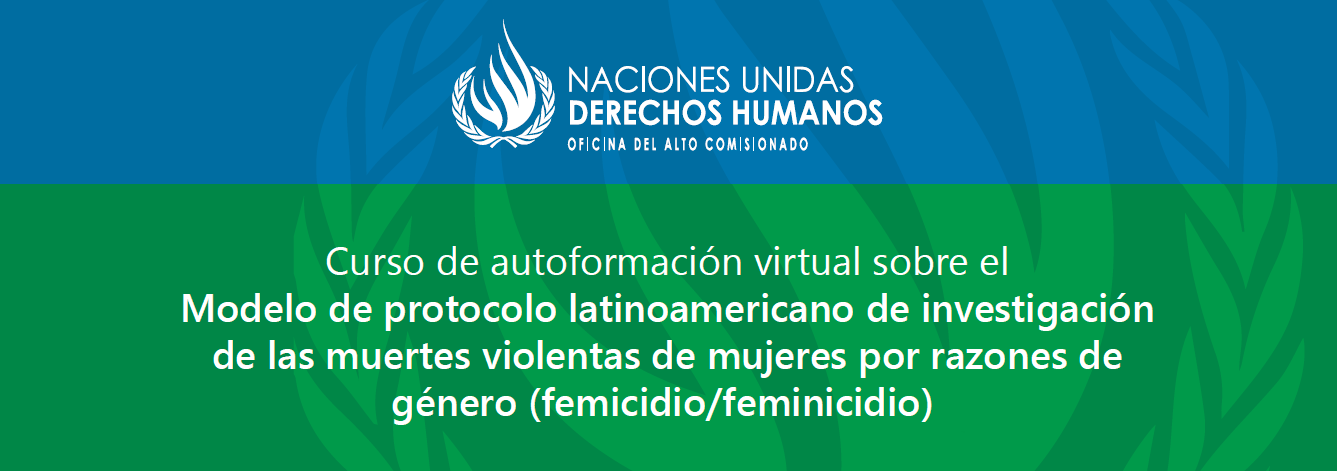 Modelo de Protocolo latinoamericano de investigación de las muertes violentas de mujeres por razones de género (femicidio/feminicidio)