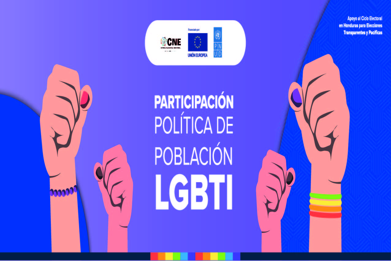 Participación Política de Población LGBTI
