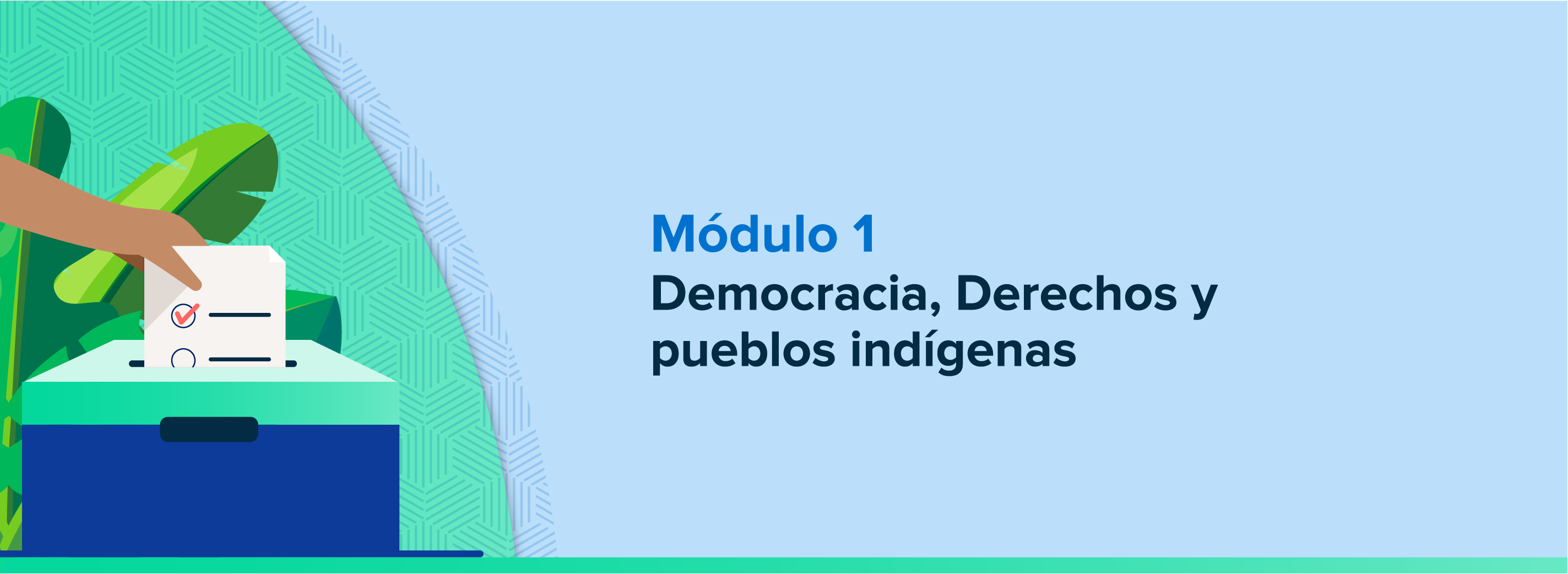 Módulo 1. Democracia, derechos y pueblos indígenas